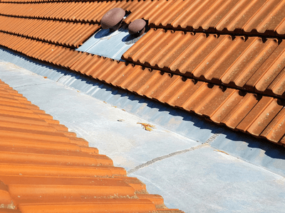 About Leaking Skylight Repair Pros Rescue, CA
